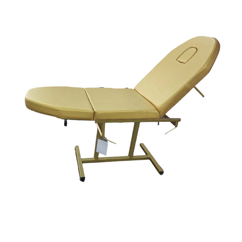 Spa Beauty Massage Bed