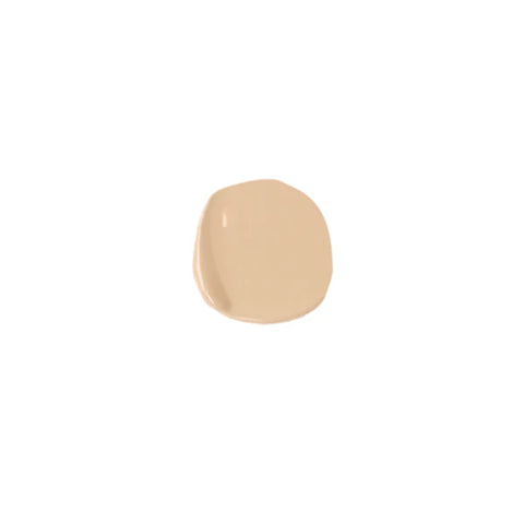 Samoa Skin Envy 2in1 High Coverage 12hr Concealer