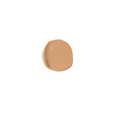 Samoa Skin Envy 2in1 High Coverage 12hr Concealer