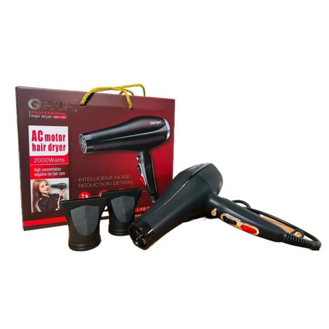 Gemei Professional Hair Dryer GM-1787
