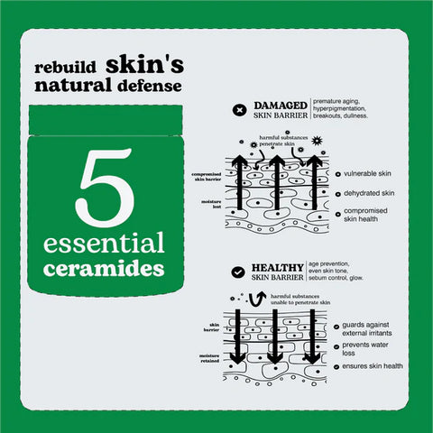 BEESLINE EVERYONE BARIER CREAM