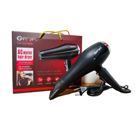 Gemei Professional Hair Dryer GM-1787