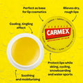 Carmex Moisturising Lip Balm, image 4