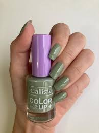 CALLISTA COLOR NAIL POLISH 560