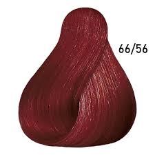Wella Koleston Perfect 66/56 – Izzat Daouk Lebanon