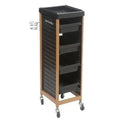 Jumbo Rich Plastic Salon Trolley