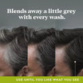 Just For Men Control GX Gray Reducing Shampoo, image 5
