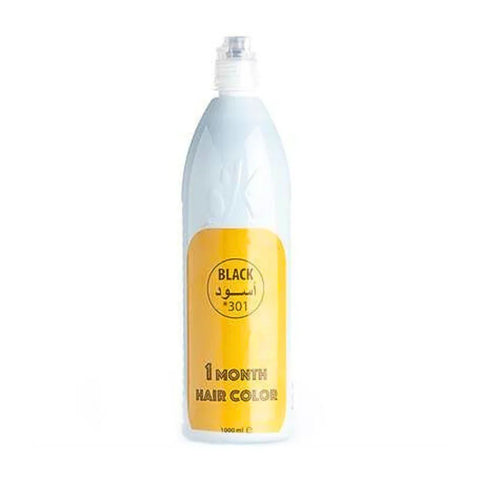 Style One Month Hair Color 301 Black 1000ml