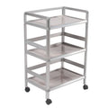 Jumbo Rich Aluminium Salon Trolley