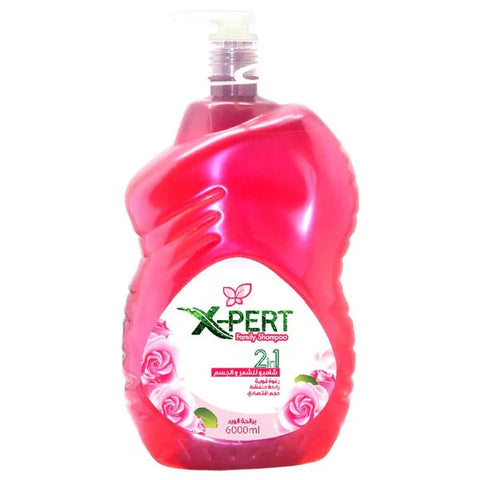 X Pert 2 in 1 Family Shampoo 6L